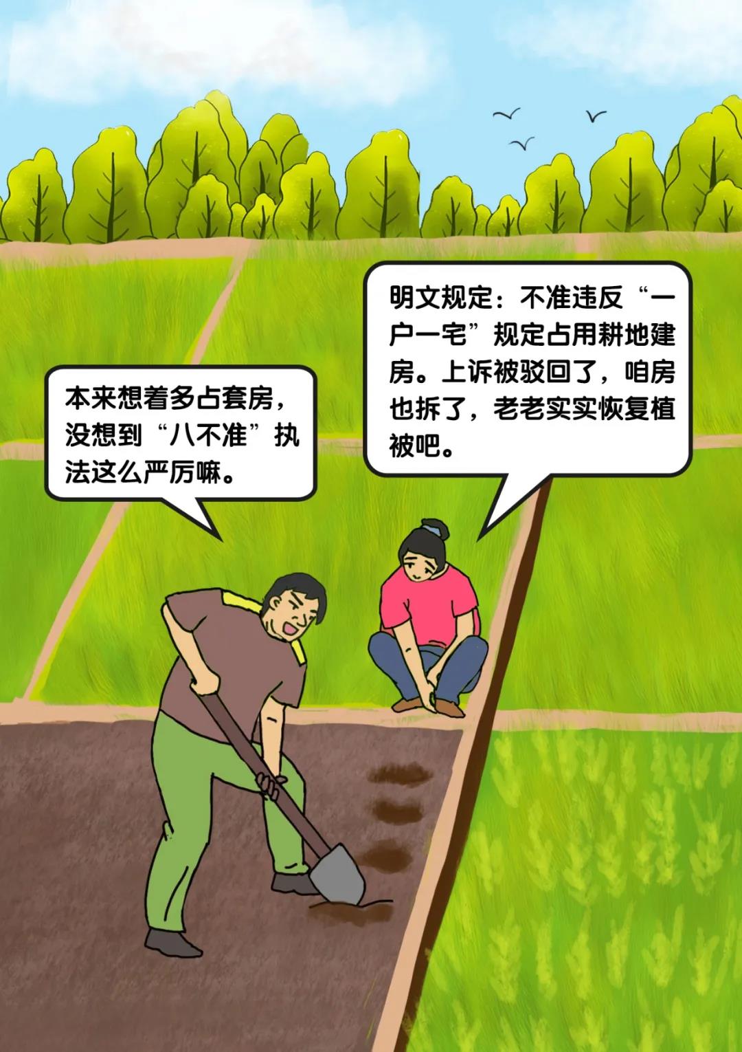 农村乱占耕地建房"八不准"系列漫画—不准违反"一户一宅"规定占用