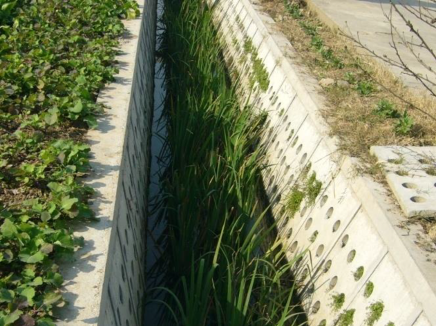松江泖港市级土地整治项目生态明沟