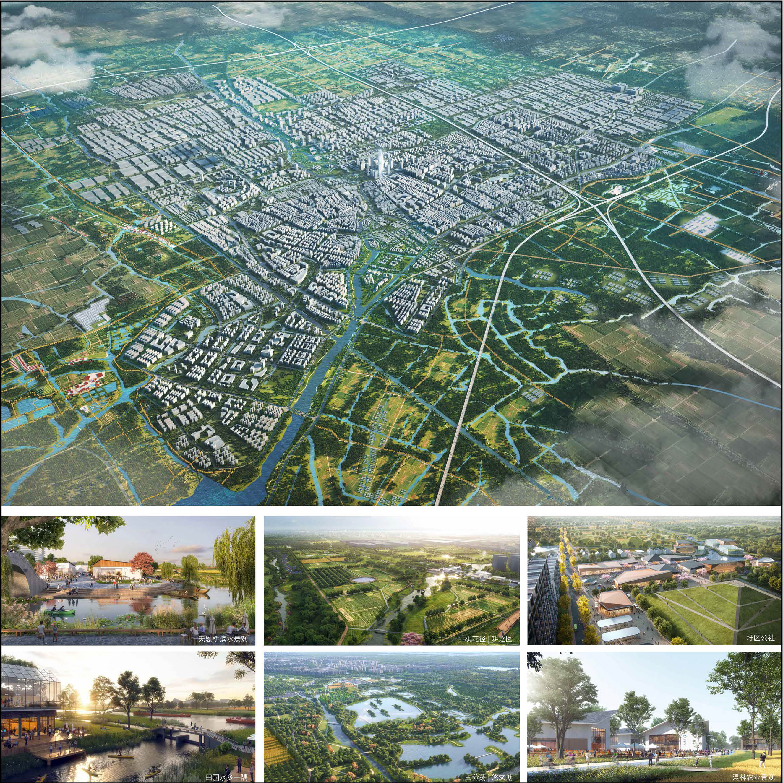 2.新城绿环5.jpg