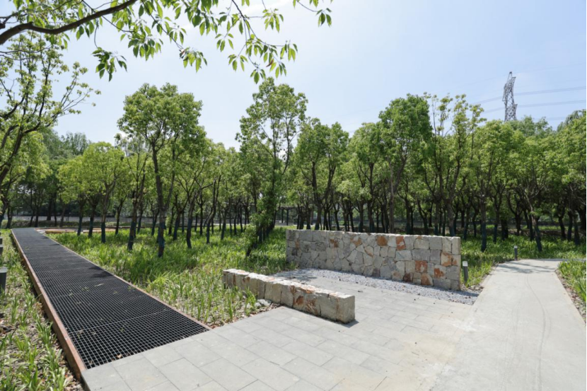 6.png