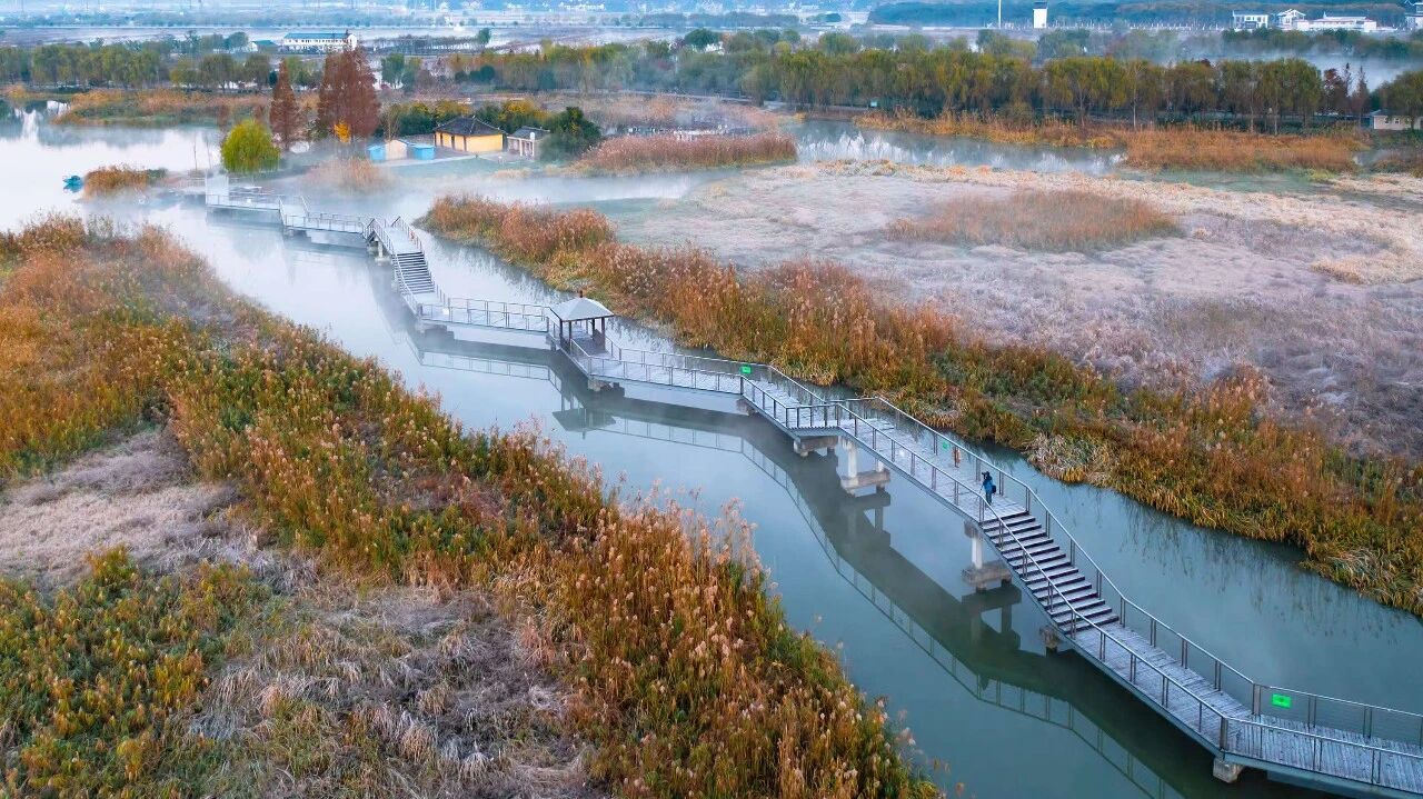 从“自然疗愈”到“全球示范”：青西郊野公园入选联合国气候变化大会（COP30）优秀实践案例