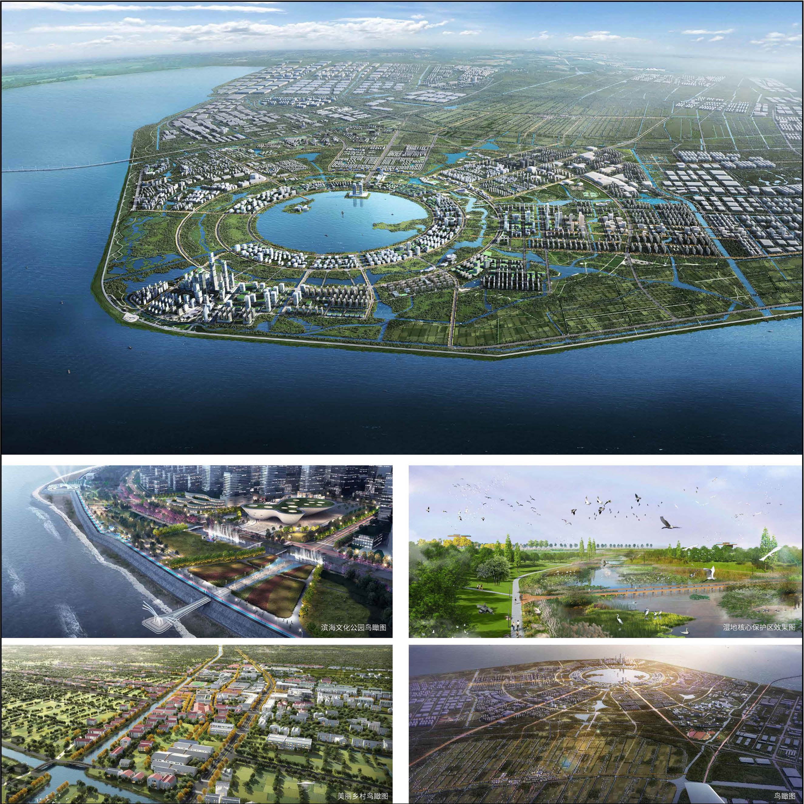 2.新城绿环14.jpg