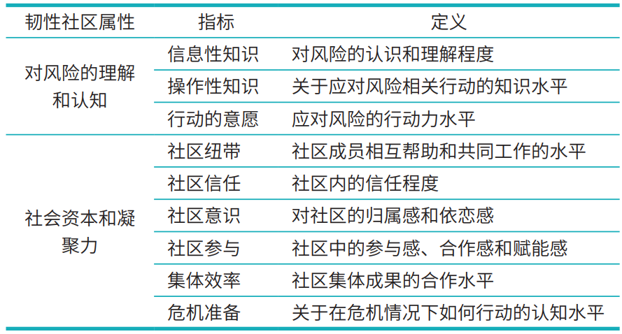 新加坡韧性社区指标体系.png