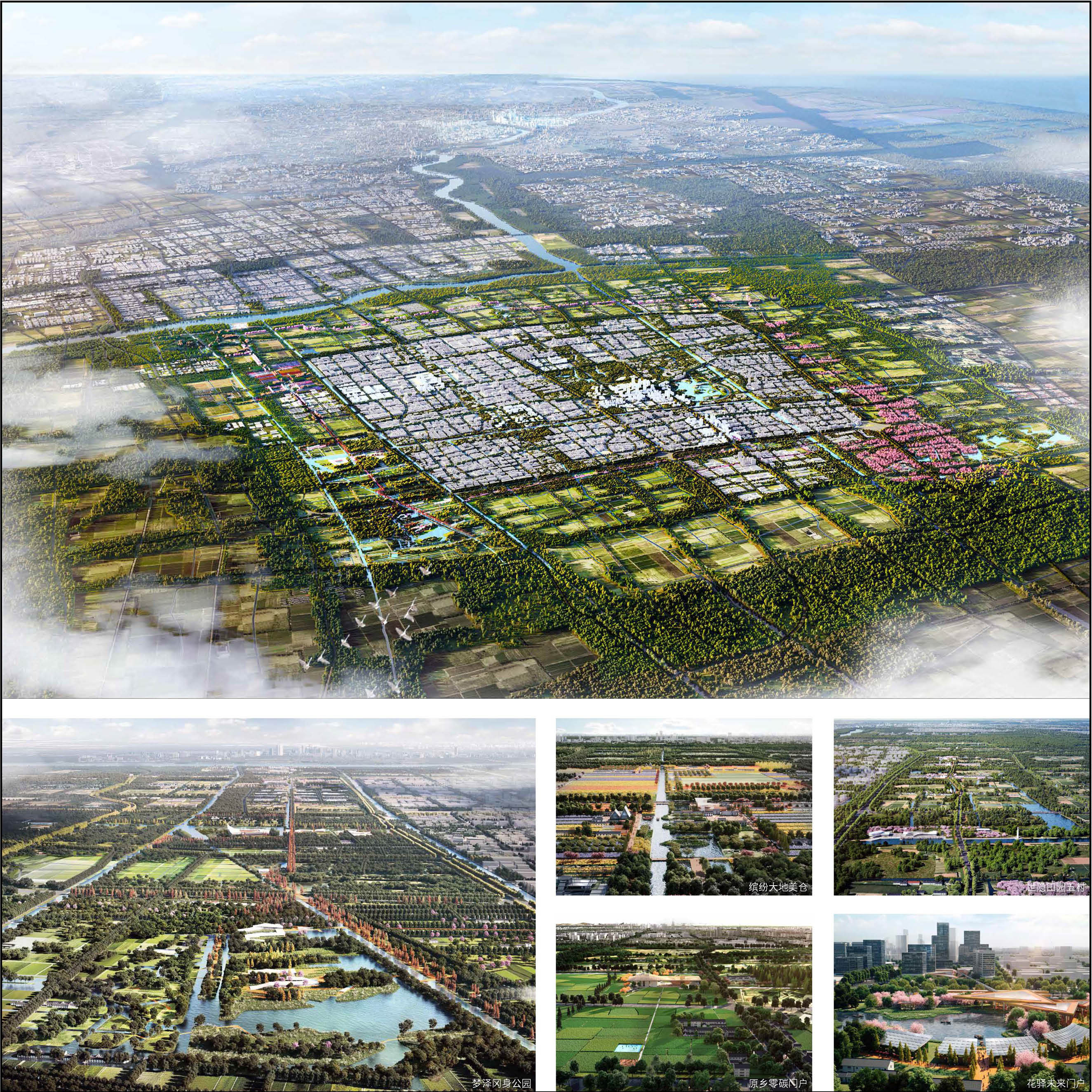 2.新城绿环11.jpg