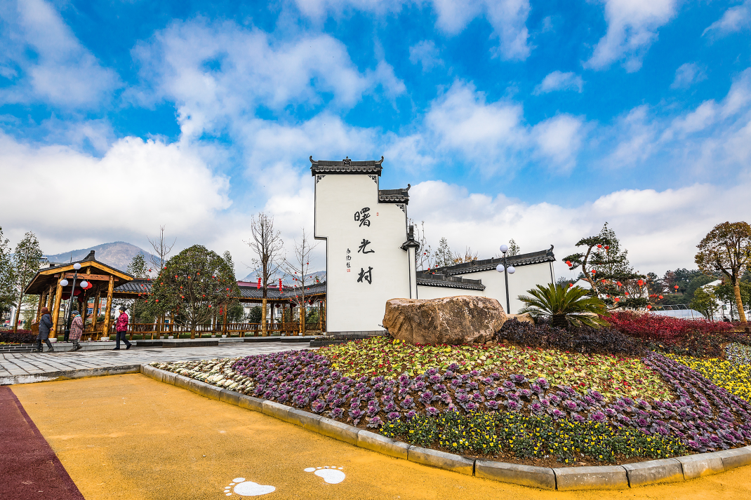 从繁华都市到“沪派江南”，上海如何探索超大城市的乡村全面振兴样本？